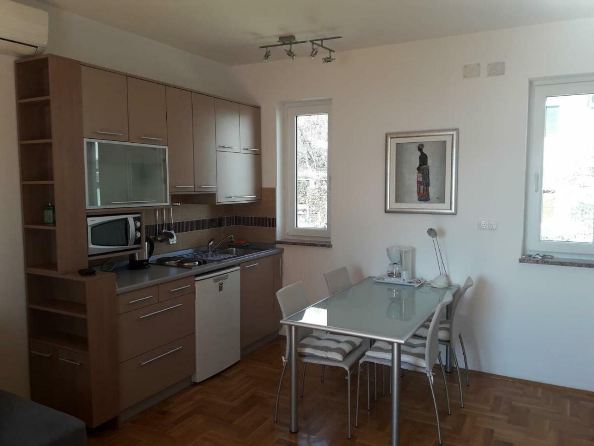 Studio Apartment Jasna 诺维·维诺多尔斯基 外观 照片